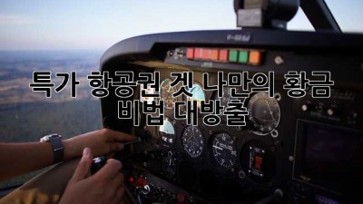 ✈️ 특가 항공권 겟! 나만의 황금 비법 대방출 🤫