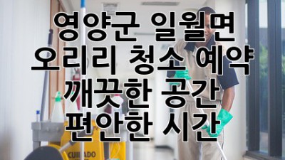 영양군 일월면 오리리 청소 예약: 깨끗한 공간, 편안한 시간