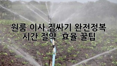 원룸 이사 짐싸기 완전정복 📦 시간 절약 & 효율 꿀팁!